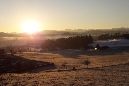 Betreutes Wohnen Lichtblick