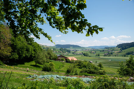 Sozialtherapeutische Gemeinschaft