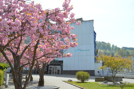 Zentrum Höchweid AG