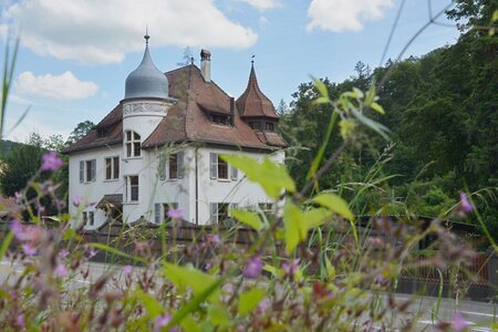 Stiftung Hirsacker